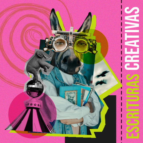 Imagen de la experiencia