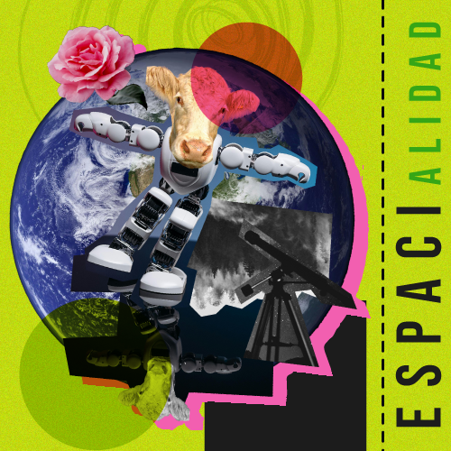 Imagen de la experiencia