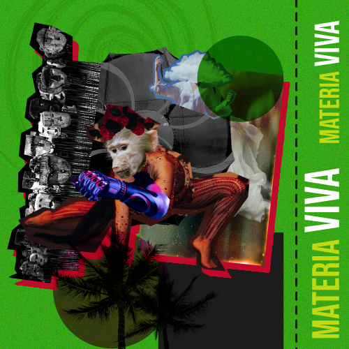 Imagen de la experiencia